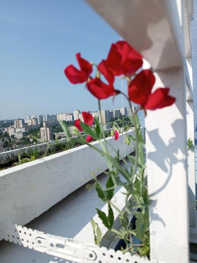 Небольшой Пентхаус С Прекрасным Видом На Город Kiev Esterno foto