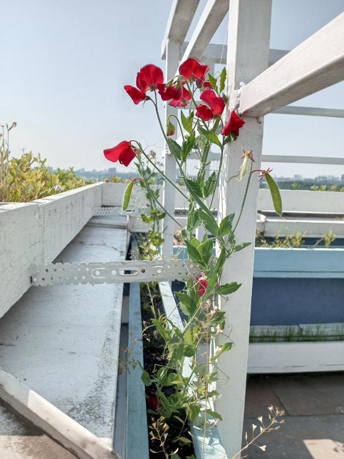 Небольшой Пентхаус С Прекрасным Видом На Город Kiev Esterno foto